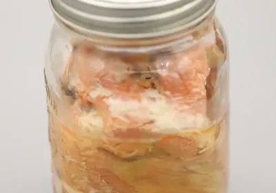 Canned Sockeye(500ml)